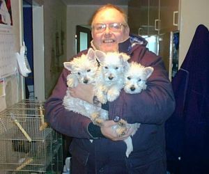 Leslie Lowes with three puppies
